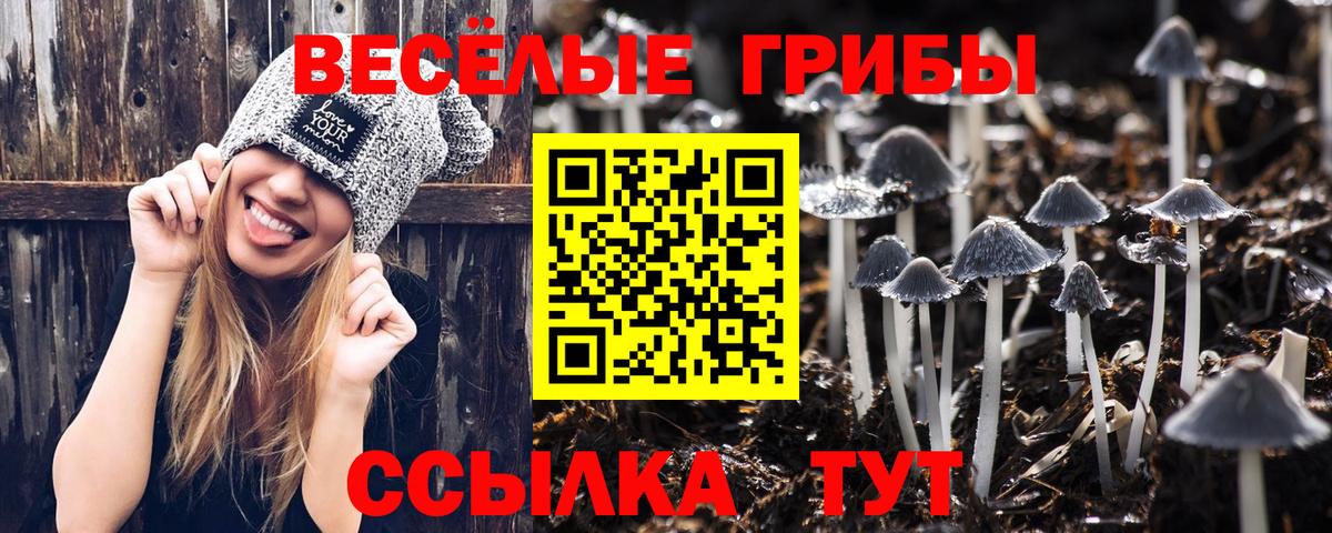 Псилоцибиновые грибы GOLDEN TEACHER  Псилоцибиновые грибы Cubensis  Вход с VPN  Барнаул 